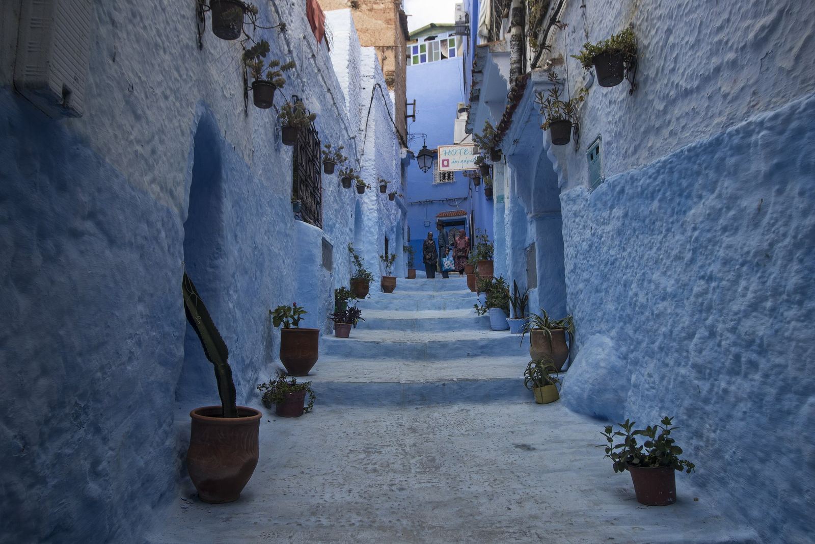 Blue-painted stepped lane with flower pots in the Chefchaouen medina