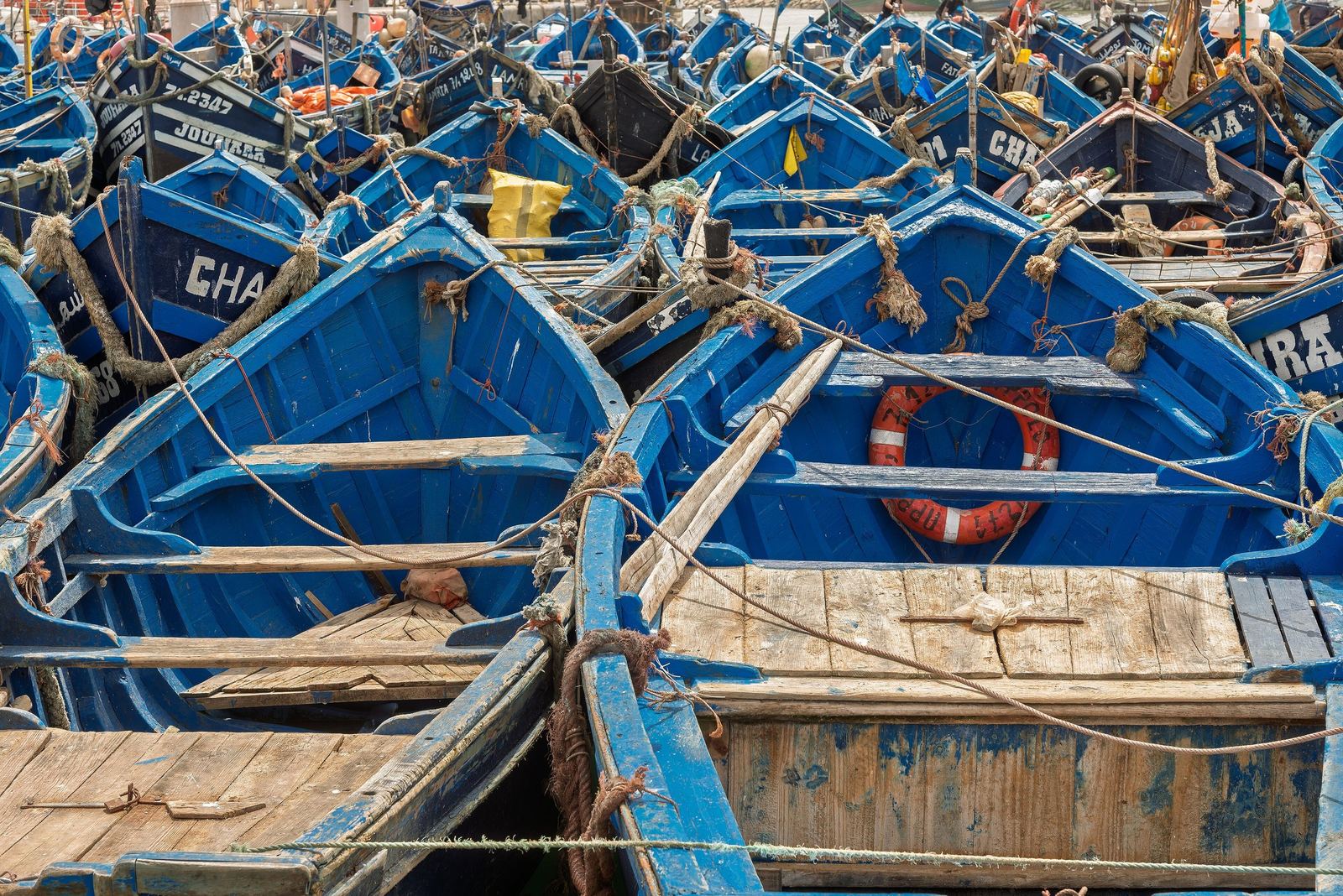 Tightly packed blue wooden fishing boats in the port of Essaouira