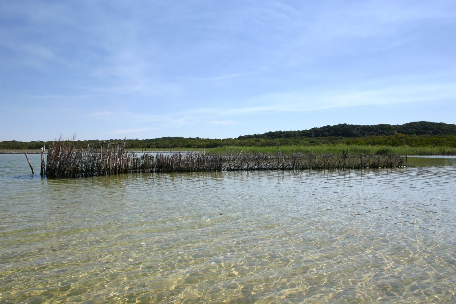 Houten visval in het heldere, ondiepe water van Kosi Bay met beboste duinen aan de horizon