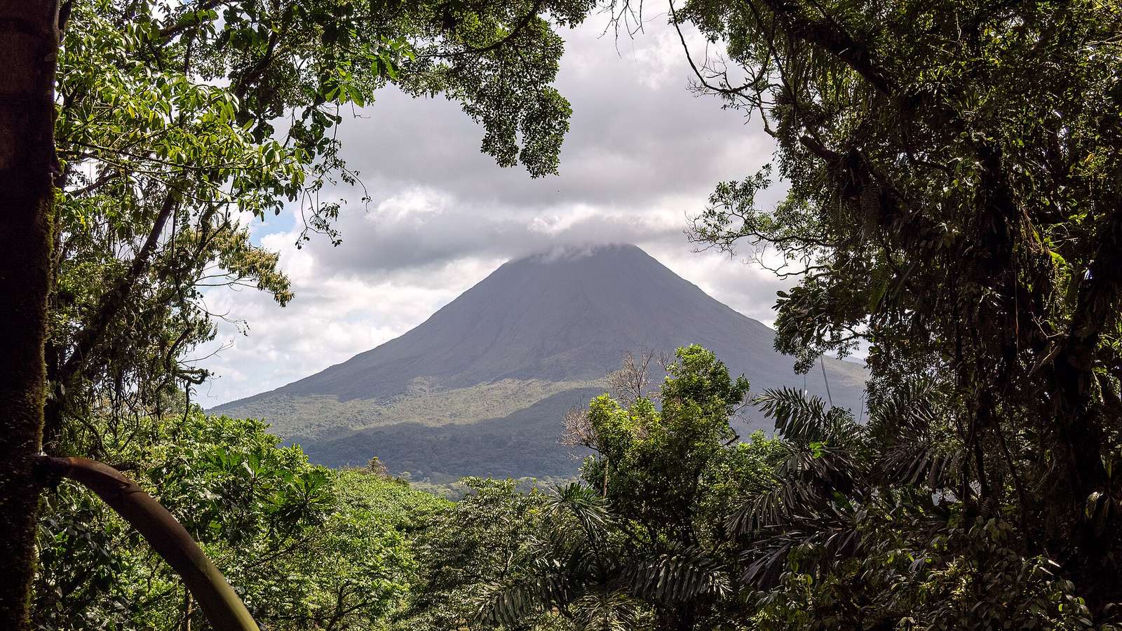 Arenal Volcano framed by rainforest