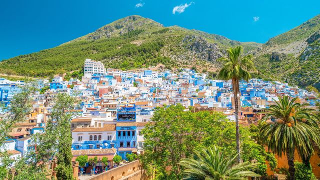 The blue-and-white houses of Chefchaouen against the green Rif mountains, with palm trees in the foreground