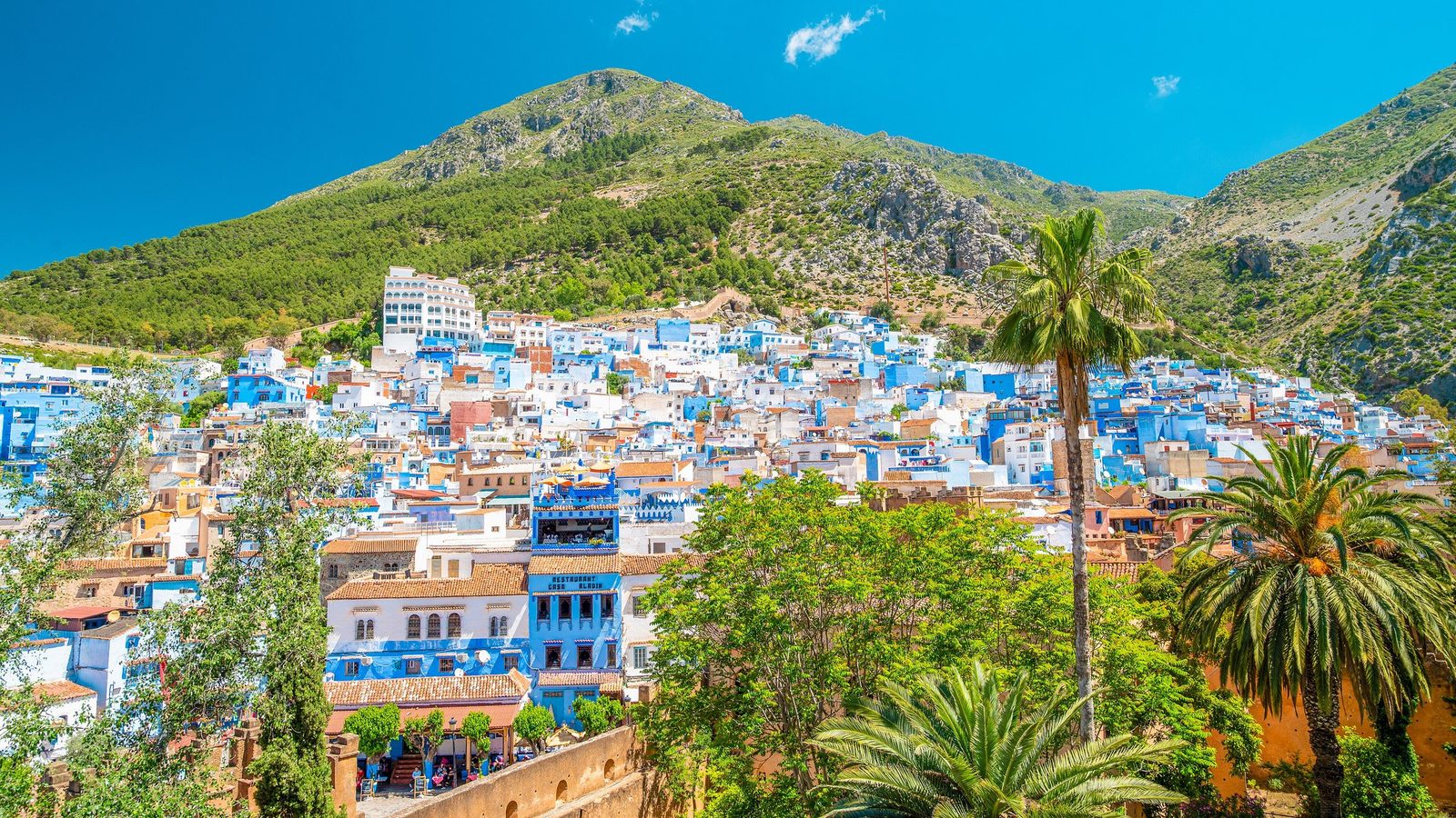 The blue-and-white houses of Chefchaouen against the green Rif mountains, with palm trees in the foreground