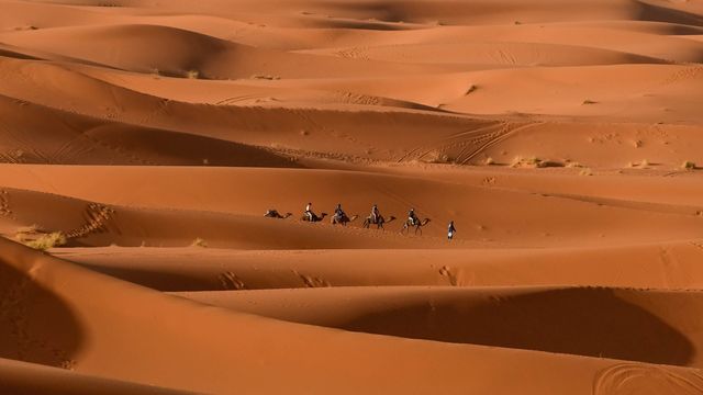A camel caravan crossing the orange sand dunes of Erg Chebbi near Merzouga