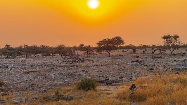 Wide savanna with giraffes in Etosha national park