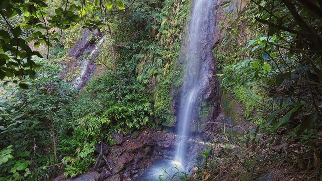 A waterfall between dense greenery in the Santa Elena cloud forest, Monteverde