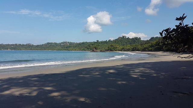Beach and jungle in Manuel Antonio national park