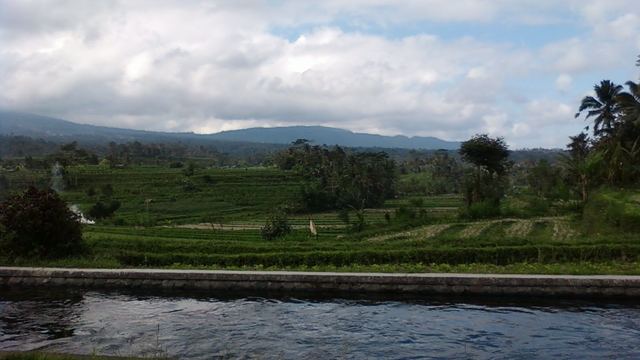 Green rice terraces in the Sidemen valley on Bali