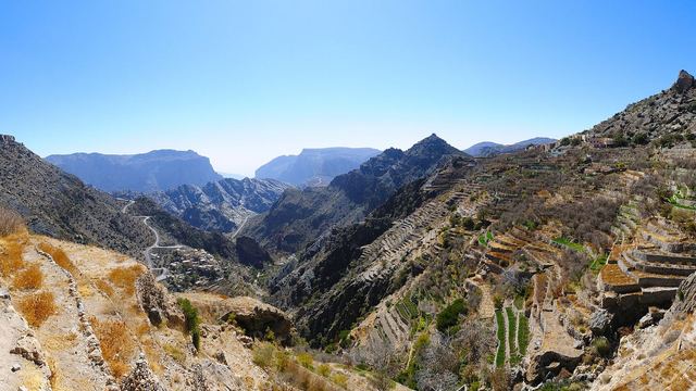Groene terrasvelden tegen de berghellingen van de Jebel Akhdar