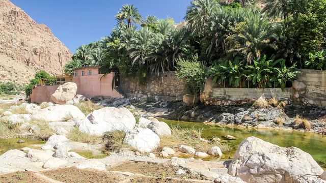 Date palms and water in the Wadi Tiwi gorge