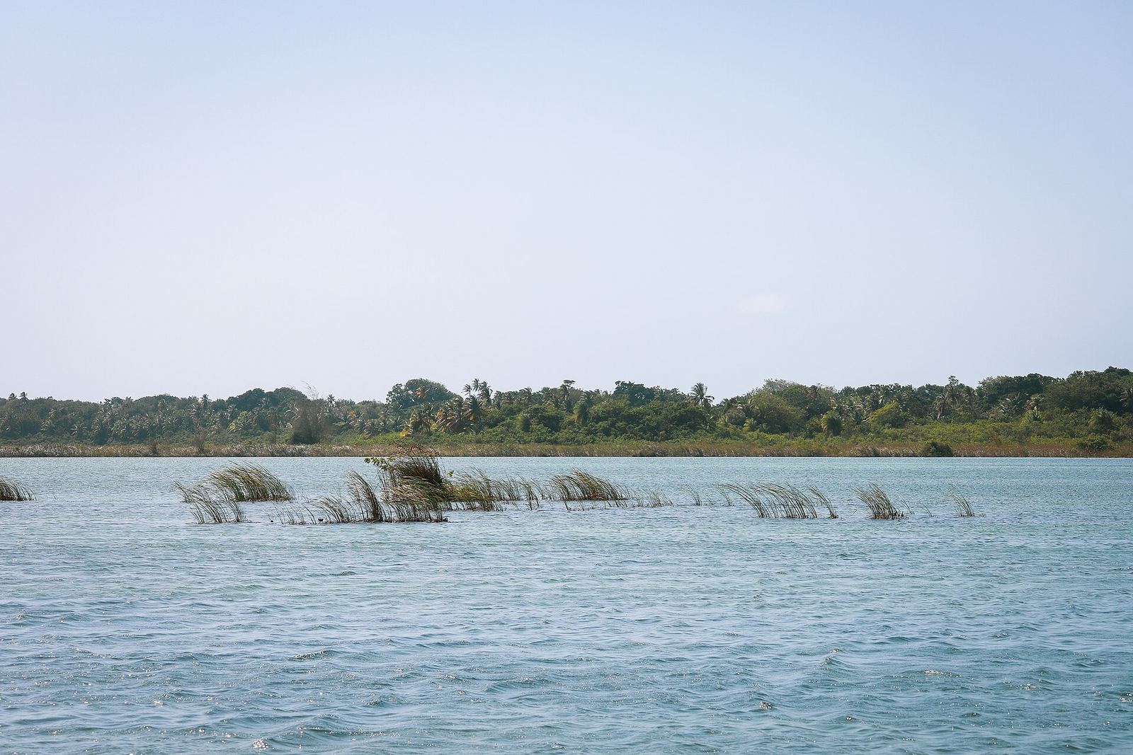 Water en groene oevers van de lagune van Tortuguero