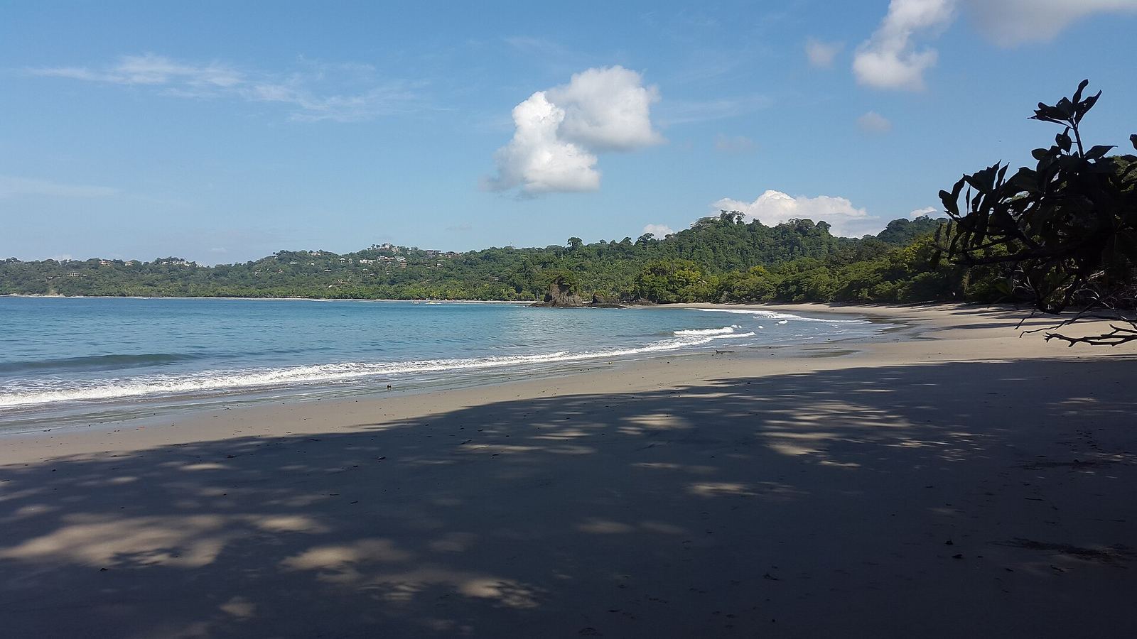 Strand en jungle in het Manuel Antonio nationaal park
