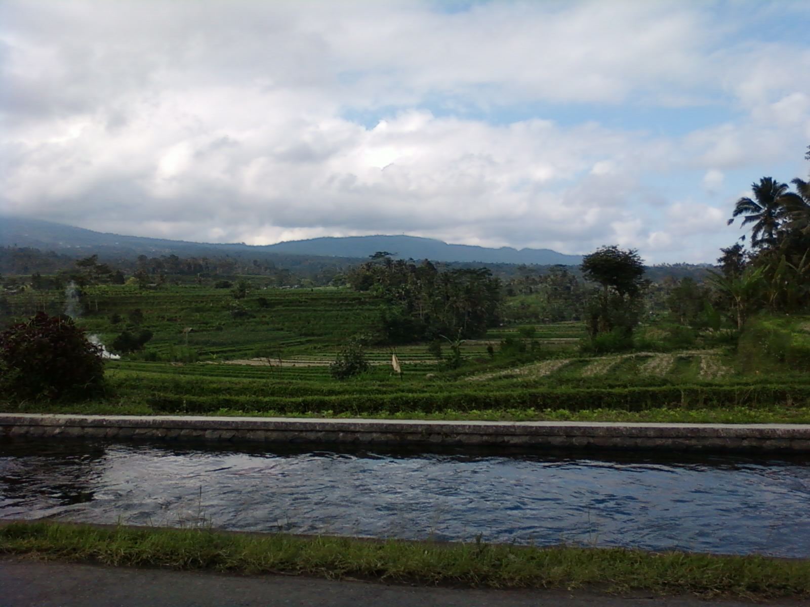 Green rice terraces in the Sidemen valley on Bali