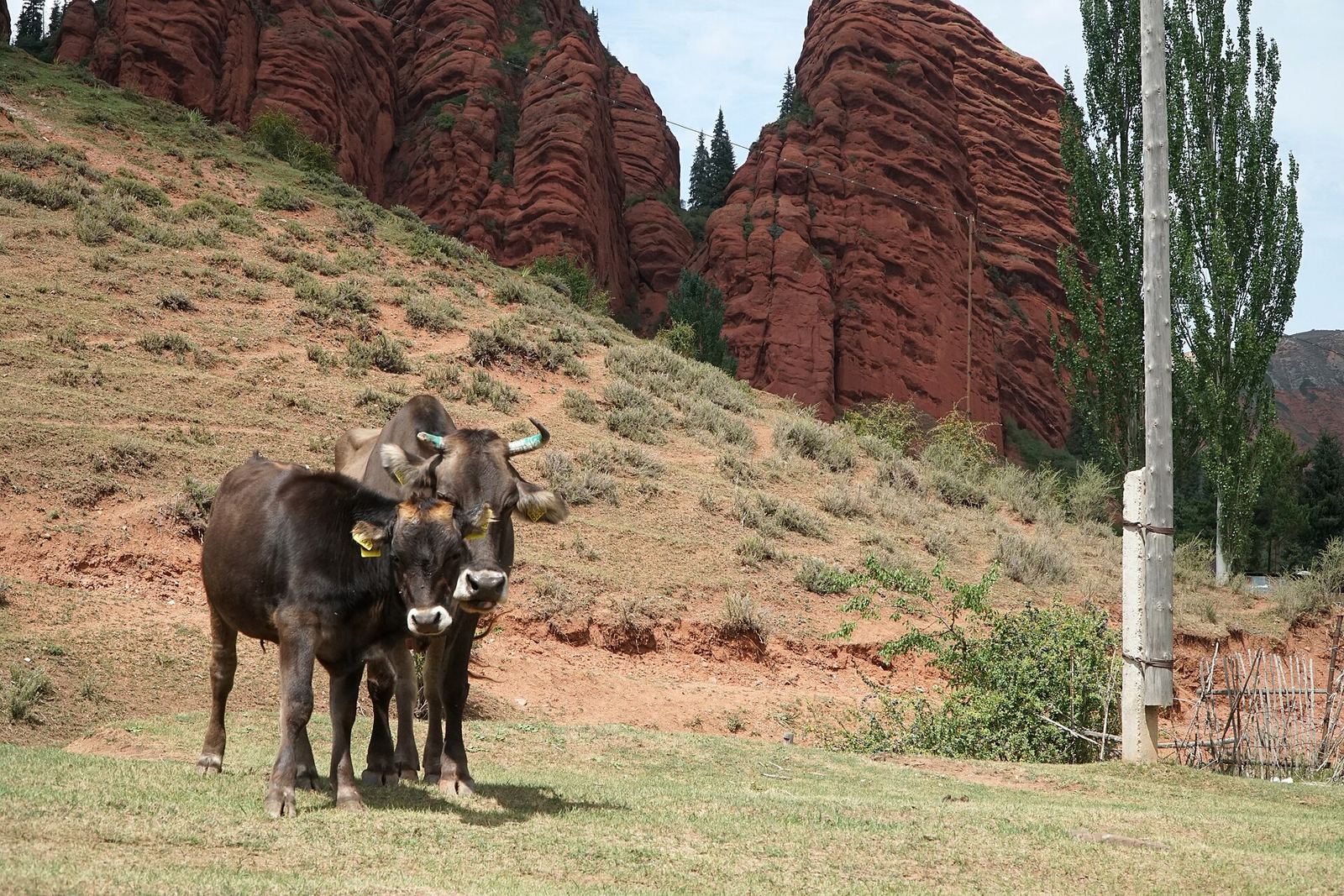 The red rock walls of the Seven Bulls at Jeti-Oguz
