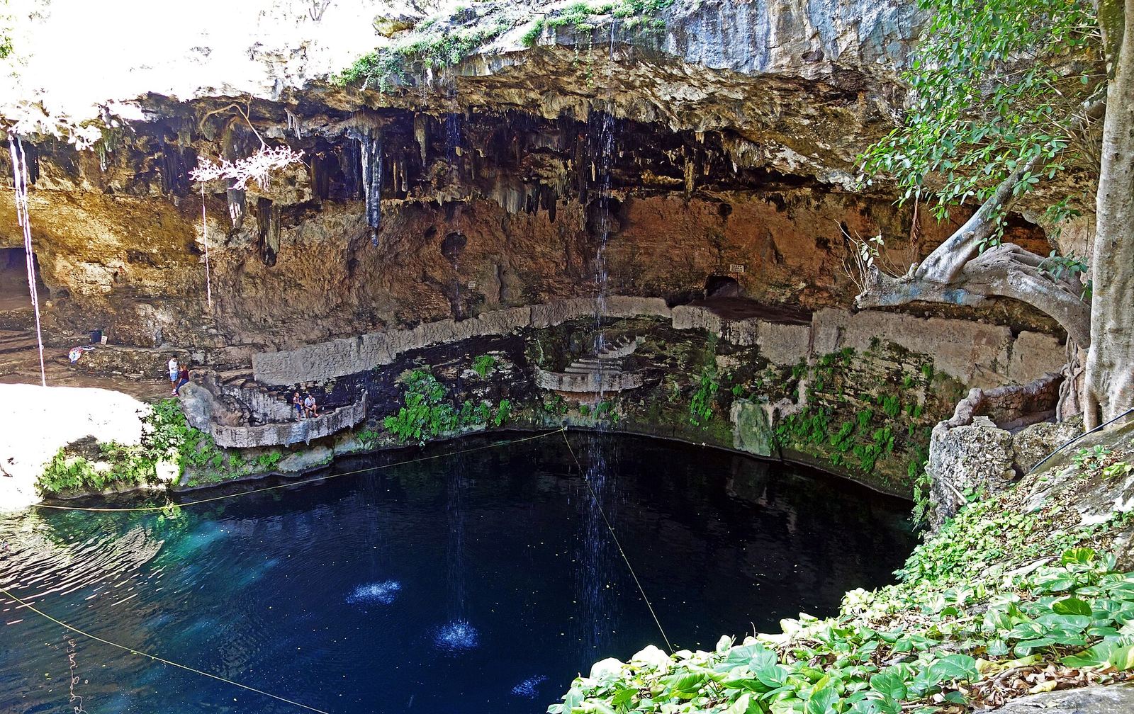 Clear water in a cenote near Valladolid