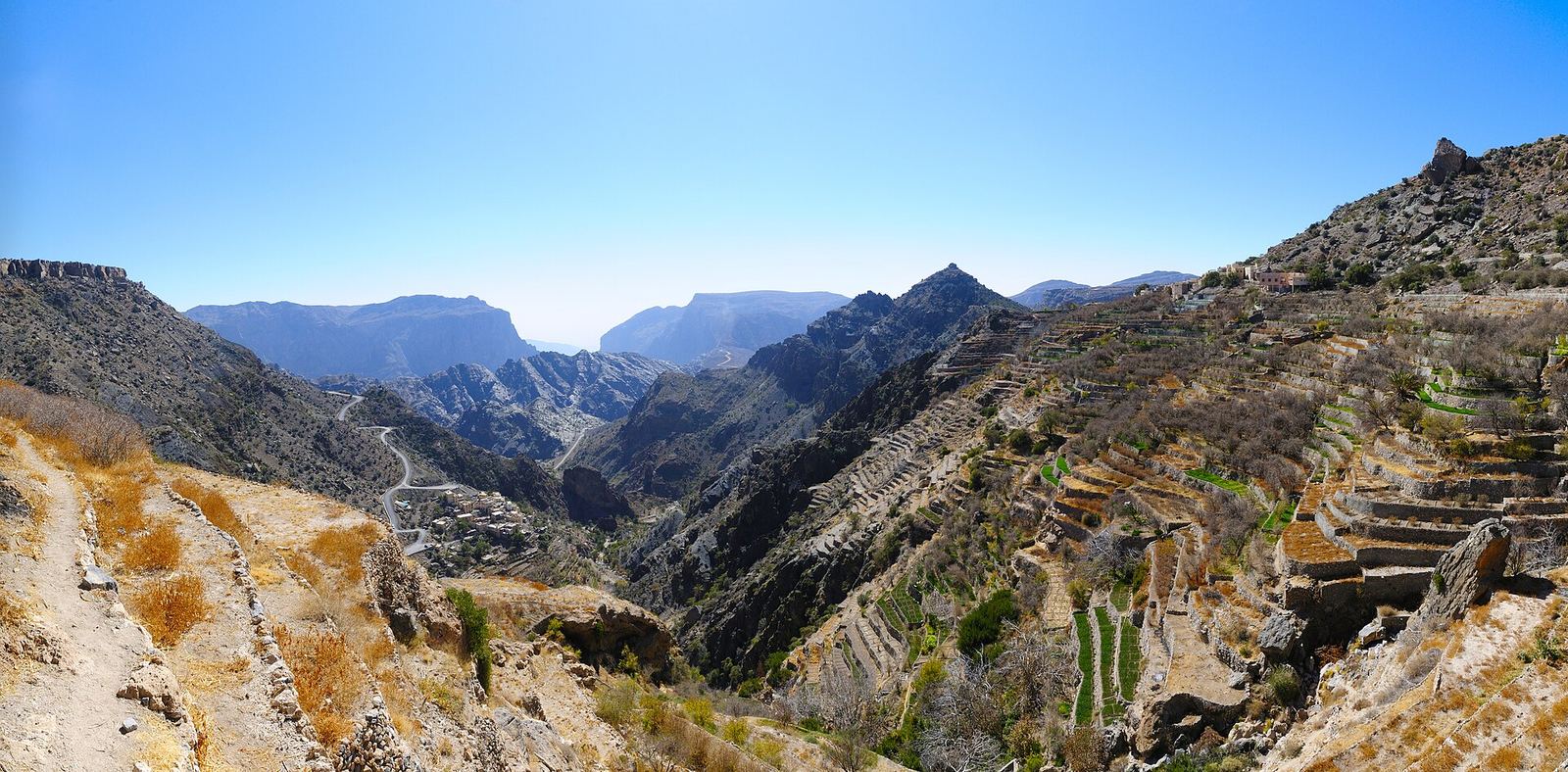 Groene terrasvelden tegen de berghellingen van de Jebel Akhdar