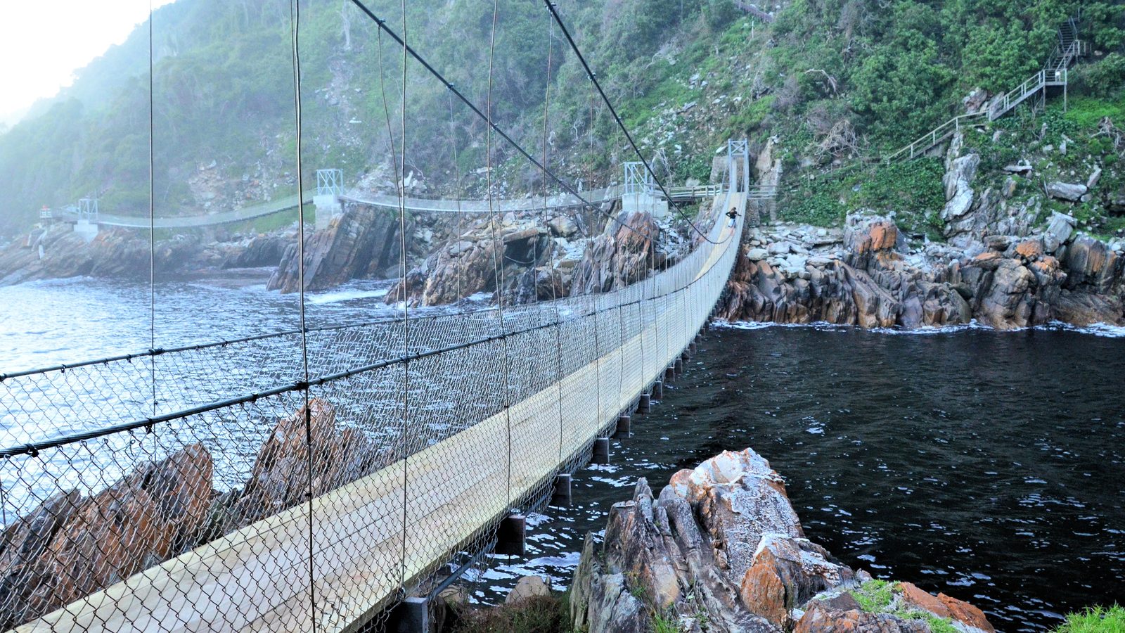 Suspension bridge over the dark Storms River mouth between rocks and forested coastal cliffs, Tsitsikamma